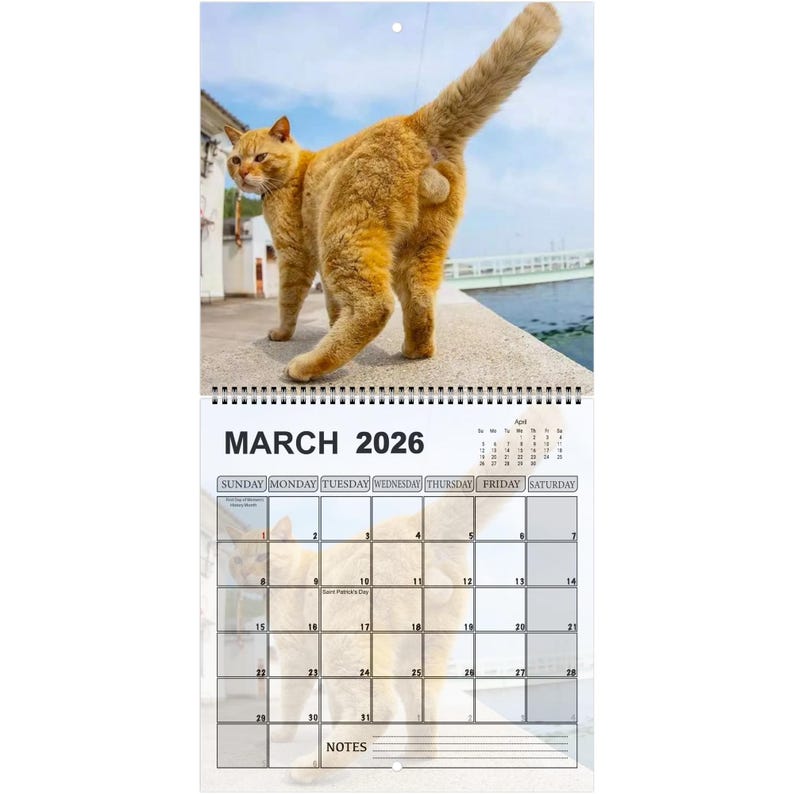 Funny Cats’ Buttholes 2026 Calendar