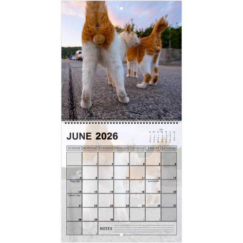 Funny Cats’ Buttholes 2026 Calendar
