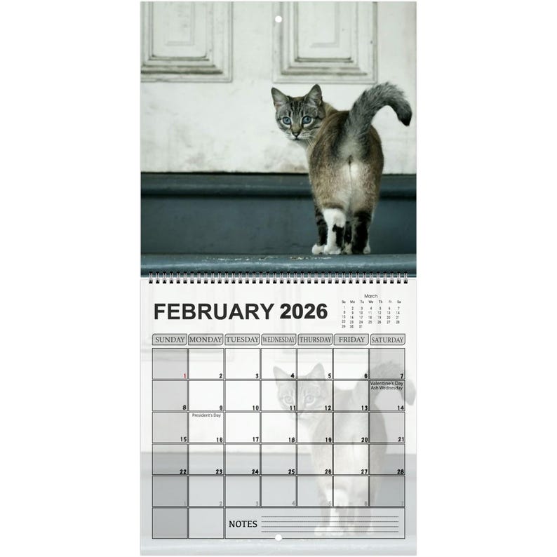 Funny Cats’ Buttholes 2026 Calendar