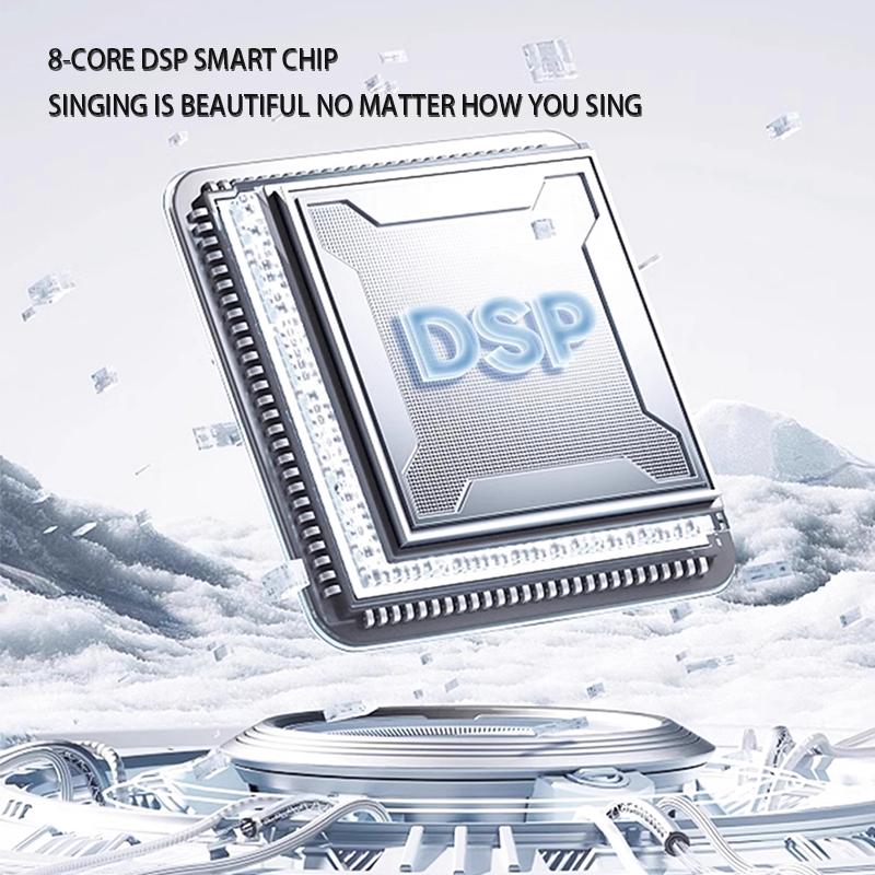 Professional Wireless Karaoke Microphone with Speaker and Soundcard