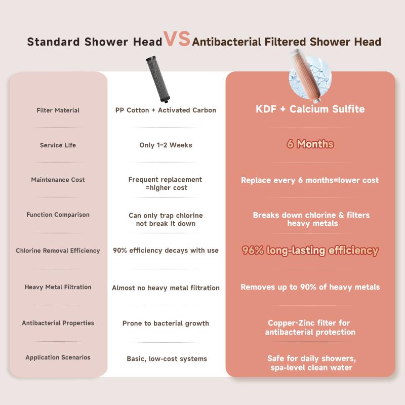 The DayIn Triple-Filtration Showerhead