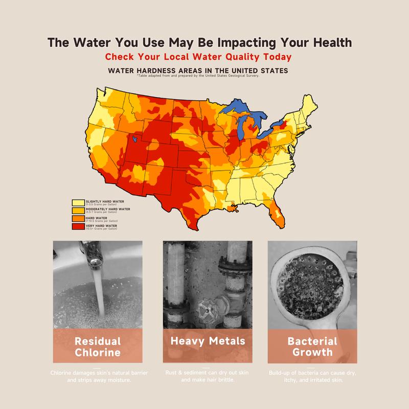 The DayIn Triple-Filtration Showerhead