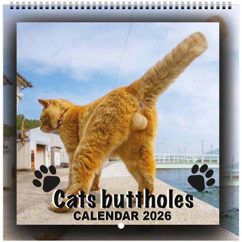 Funny Cats’ Buttholes 2026 Calendar