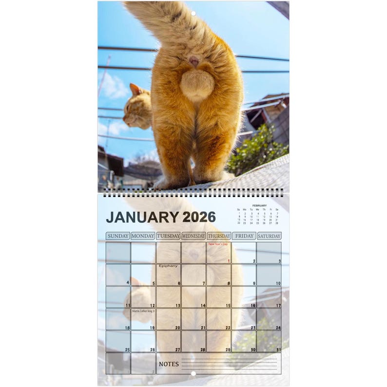 Funny Cats’ Buttholes 2026 Calendar