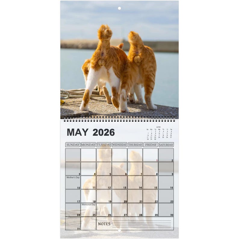 Funny Cats’ Buttholes 2026 Calendar