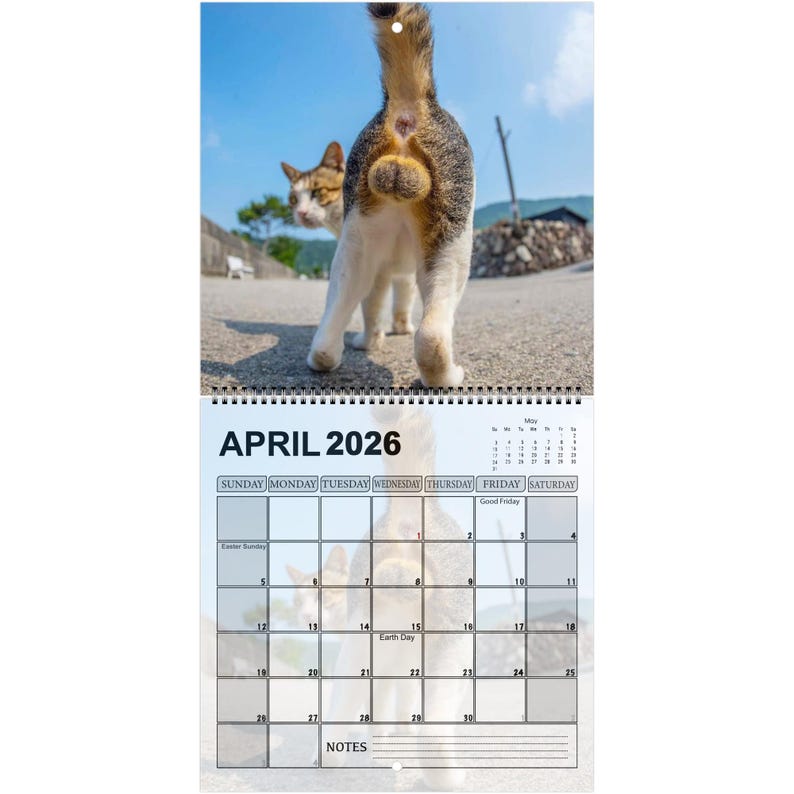 Funny Cats’ Buttholes 2026 Calendar